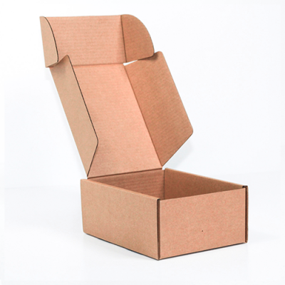 Caixa para Envio Postal 17x24x10cm Kraft