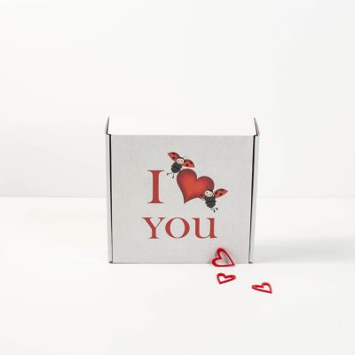 Caixa Decorada Dia dos Namorados 20x20x7cm Branco - Tipo 1
