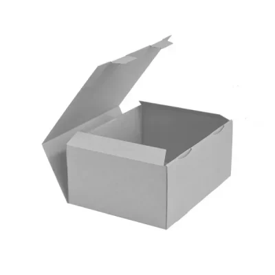 Caixa para Envio Postal 25x19x11cm Branco